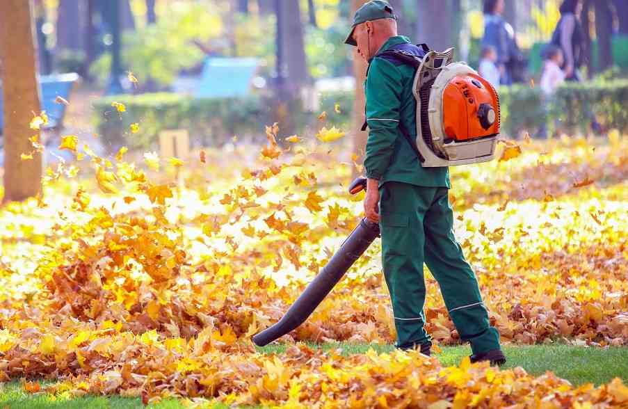 Simple Guide to Keeping Your Yard Clean and Healthy